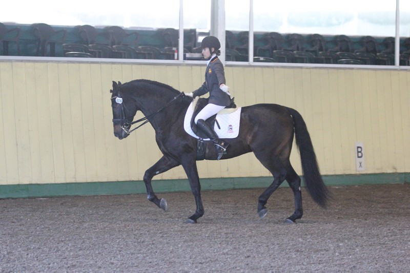 Concurso Internacional Paraecuestre en Cervia (Italia) . Participación Navarra de Natalia Quintana y Claudia Lazkoz